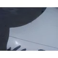 FREIGHTLINER CASCADIA 126 HOOD thumbnail 11