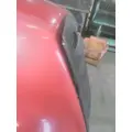 FREIGHTLINER CASCADIA 126 HOOD thumbnail 9