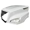 FREIGHTLINER CASCADIA 126 HOOD thumbnail 3