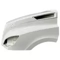 FREIGHTLINER CASCADIA 126 HOOD thumbnail 4