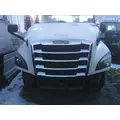 FREIGHTLINER CASCADIA 126 HOOD thumbnail 1