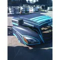 FREIGHTLINER CASCADIA 126 HOOD thumbnail 3