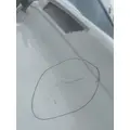 FREIGHTLINER CASCADIA 126 HOOD thumbnail 4