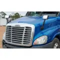 FREIGHTLINER CASCADIA 126 HOOD thumbnail 1