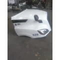 FREIGHTLINER CASCADIA 126 HOOD thumbnail 9