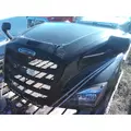 FREIGHTLINER CASCADIA 126 HOOD thumbnail 6