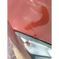 FREIGHTLINER CASCADIA 126 HOOD thumbnail 5