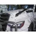 FREIGHTLINER CASCADIA 126 HOOD thumbnail 5