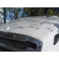 FREIGHTLINER CASCADIA 126 HOOD thumbnail 6