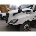 FREIGHTLINER CASCADIA 126 HOOD thumbnail 3