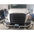 FREIGHTLINER CASCADIA 126 HOOD thumbnail 1