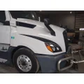 FREIGHTLINER CASCADIA 126 HOOD thumbnail 2