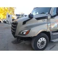 FREIGHTLINER CASCADIA 126 HOOD thumbnail 3