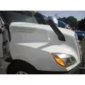 FREIGHTLINER CASCADIA 126 HOOD thumbnail 9