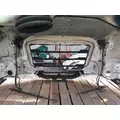 FREIGHTLINER CASCADIA 126 HOOD thumbnail 10