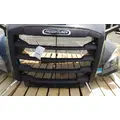 FREIGHTLINER CASCADIA 126 HOOD thumbnail 14