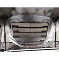 FREIGHTLINER CASCADIA 126 HOOD thumbnail 11