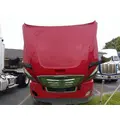 FREIGHTLINER CASCADIA 126 HOOD thumbnail 5
