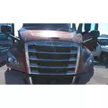 FREIGHTLINER CASCADIA 126 HOOD thumbnail 2