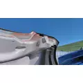 FREIGHTLINER CASCADIA 126 HOOD thumbnail 4