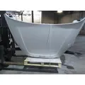 FREIGHTLINER CASCADIA 126 HOOD thumbnail 13