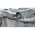FREIGHTLINER CASCADIA 126 HOOD thumbnail 9