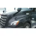 FREIGHTLINER CASCADIA 126 HOOD thumbnail 2
