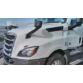 FREIGHTLINER CASCADIA 126 HOOD thumbnail 2