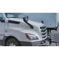 FREIGHTLINER CASCADIA 126 HOOD thumbnail 3