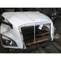 FREIGHTLINER CASCADIA 126 HOOD thumbnail 14
