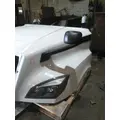 FREIGHTLINER CASCADIA 126 HOOD thumbnail 15