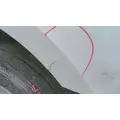 FREIGHTLINER CASCADIA 126 HOOD thumbnail 4