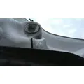 FREIGHTLINER CASCADIA 126 HOOD thumbnail 8
