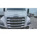 FREIGHTLINER CASCADIA 126 HOOD thumbnail 1