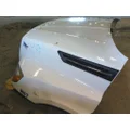 FREIGHTLINER CASCADIA 126 HOOD thumbnail 15