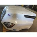 FREIGHTLINER CASCADIA 126 HOOD thumbnail 16