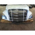 FREIGHTLINER CASCADIA 126 HOOD thumbnail 19