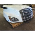 FREIGHTLINER CASCADIA 126 HOOD thumbnail 20