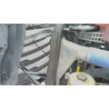 FREIGHTLINER CASCADIA 126 HOOD thumbnail 10