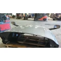 FREIGHTLINER CASCADIA 126 HOOD thumbnail 12