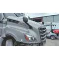 FREIGHTLINER CASCADIA 126 HOOD thumbnail 3