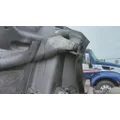 FREIGHTLINER CASCADIA 126 HOOD thumbnail 6