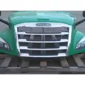 FREIGHTLINER CASCADIA 126 HOOD thumbnail 1