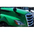 FREIGHTLINER CASCADIA 126 HOOD thumbnail 3