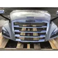FREIGHTLINER CASCADIA 126 Hood thumbnail 10