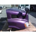 FREIGHTLINER CASCADIA 132 2010-2018 HOOD thumbnail 8