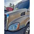 FREIGHTLINER CASCADIA 132 HOOD thumbnail 2