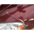 FREIGHTLINER CASCADIA 132 HOOD thumbnail 15