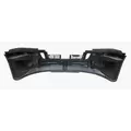 FREIGHTLINER CASCADIA 2007-2025 BUMPER ASSEMBLY, FRONT thumbnail 3