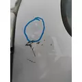 FREIGHTLINER CASCADIA 2008-2018 DOOR ASSEMBLY, FRONT thumbnail 2
